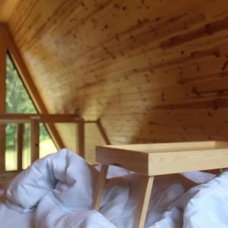 Popovic House Tara Ljubos