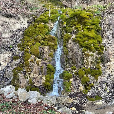 Popovic House Tara 샬레 Ljubos