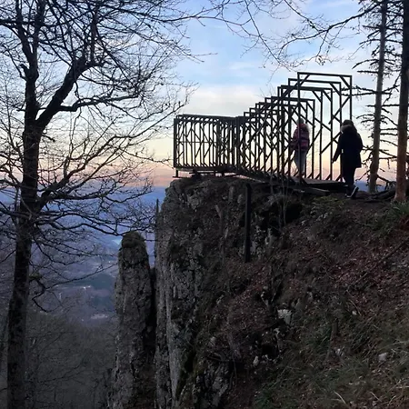 Popovic House Tara *