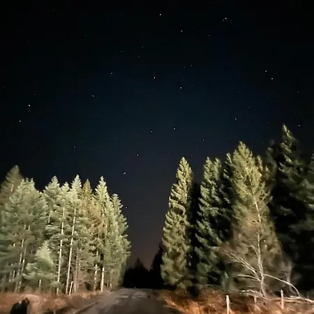 Popovic House Tara 샬레 *