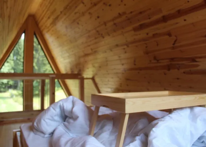 Popovic House Tara Ljubos