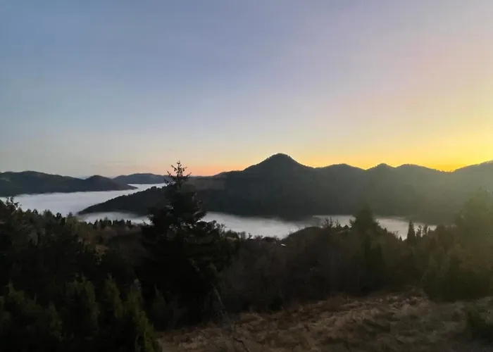 Chalet Popovic House Tara *