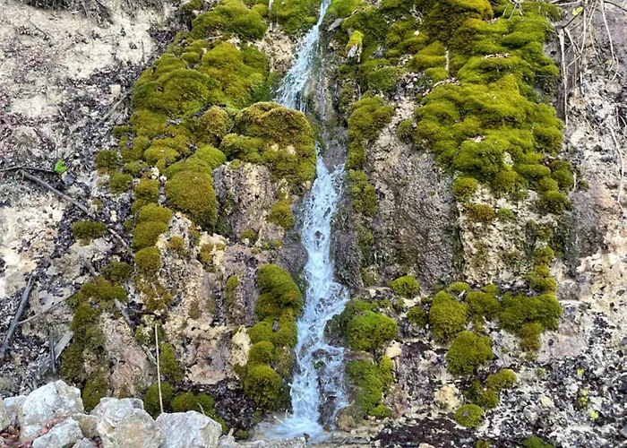 Popovic House Tara Chalet Ljubos