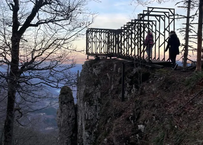 Popovic House Tara *