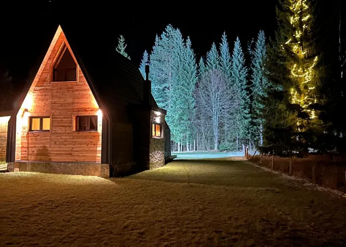 Popovic House Tara Chalet *