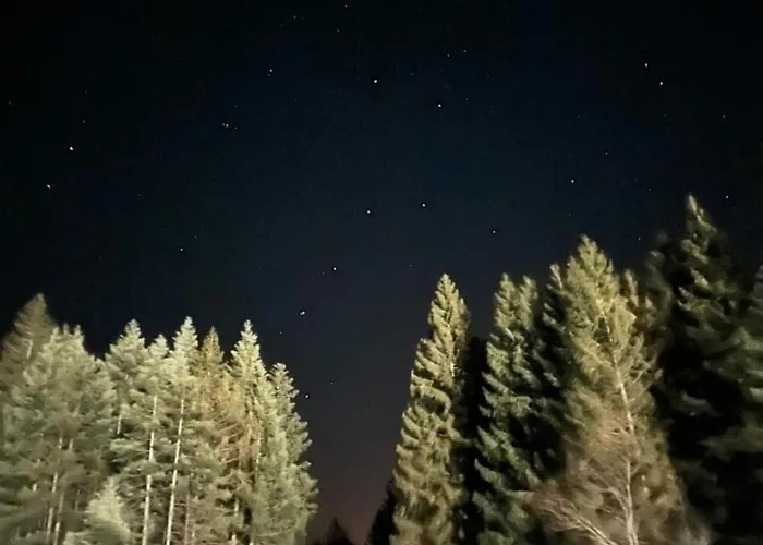 Popovic House Tara Chalet *