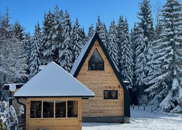 Popovic House Tara Ljubos