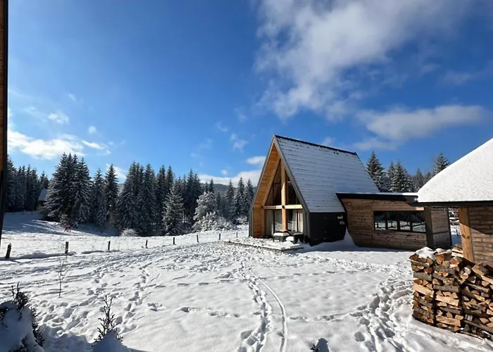 Chalet Popovic House Tara *