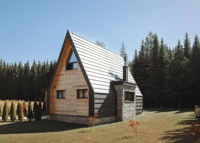 Popovic House Tara *