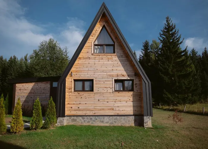 Popovic House Tara Chalet