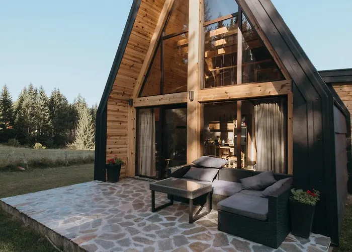 Popovic House Tara Chalet