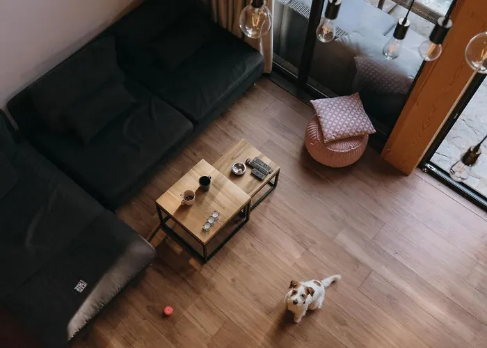 Popovic House Tara *