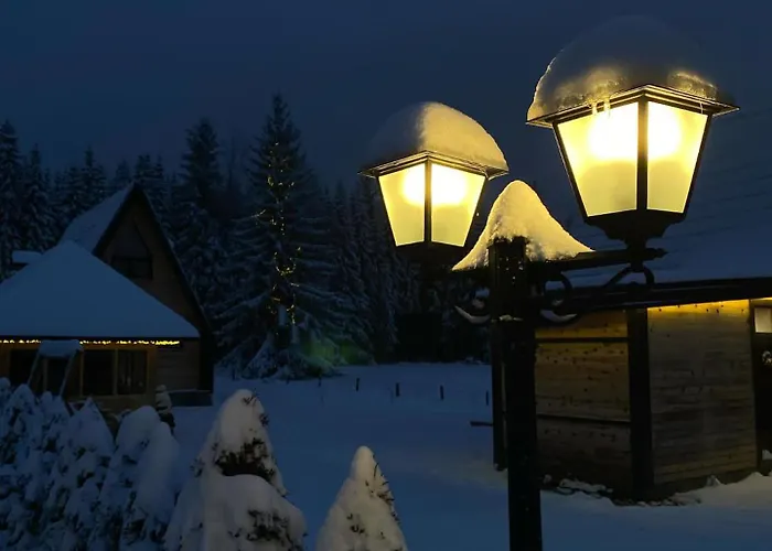 Chalet Popovic House Tara *