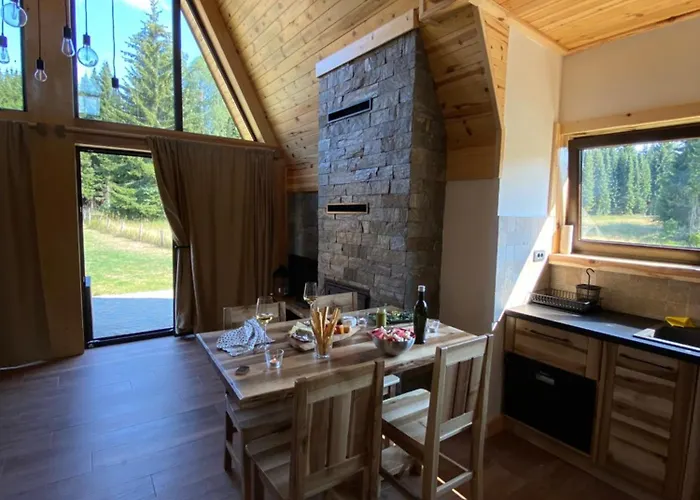 Popovic House Tara Chalet *