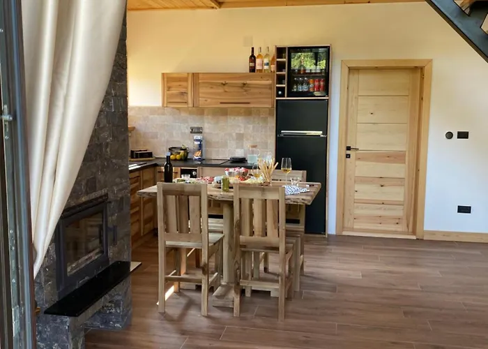 Popovic House Tara Chalet